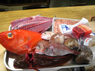 20110420 河岸.jpg