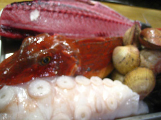 20110422 河岸.jpg