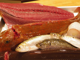 20130503 河岸.jpg