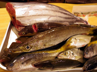 20130727 河岸.jpg