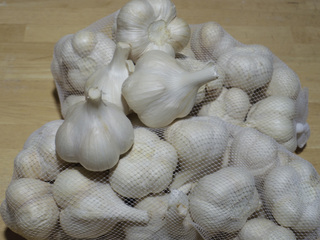 20130822 青森にんにく.jpg
