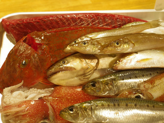 20150509 河岸.jpg
